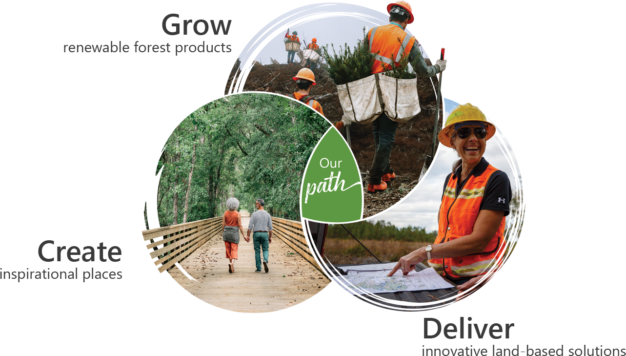 Our Path: Grow renewable forest products; Create inspirational places; Deliver innovative land-based solutions.