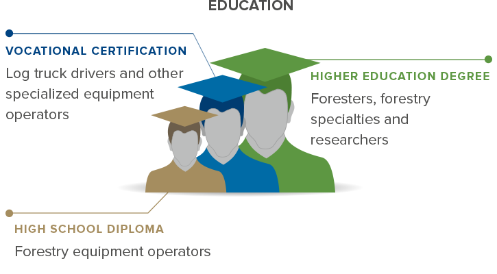 Infographic displaying types of education involved in Forestry (vocational certification, higher education degree, high school diploma)