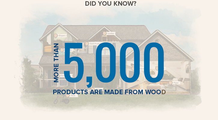 More than 5,000 products are made from wood