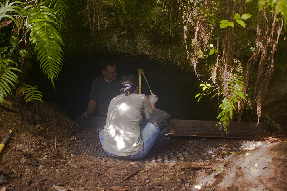 Measuring a bat cave to install a gate