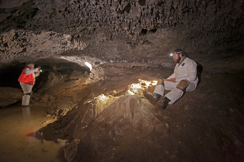 Biologists collect data on bats in cave