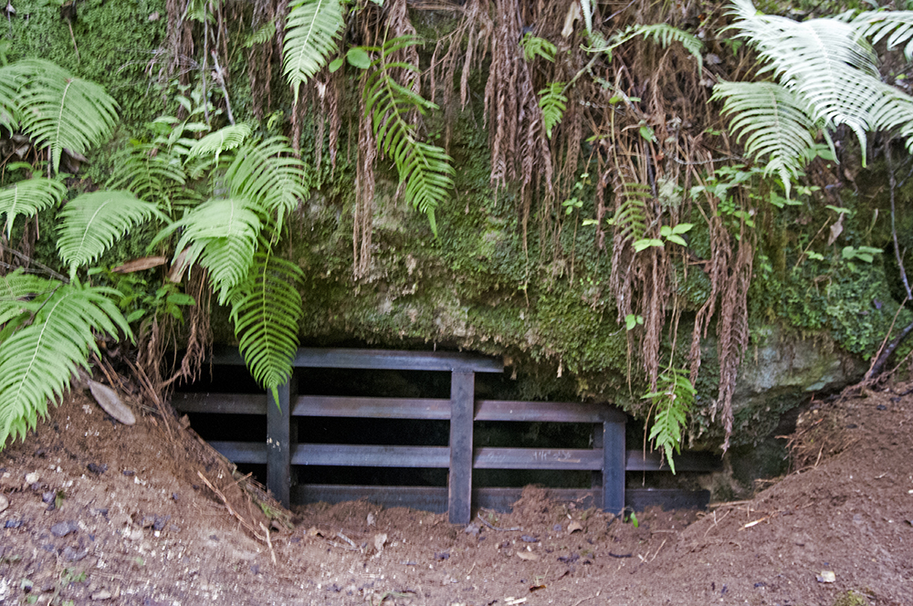 Completed bat cave protection gate