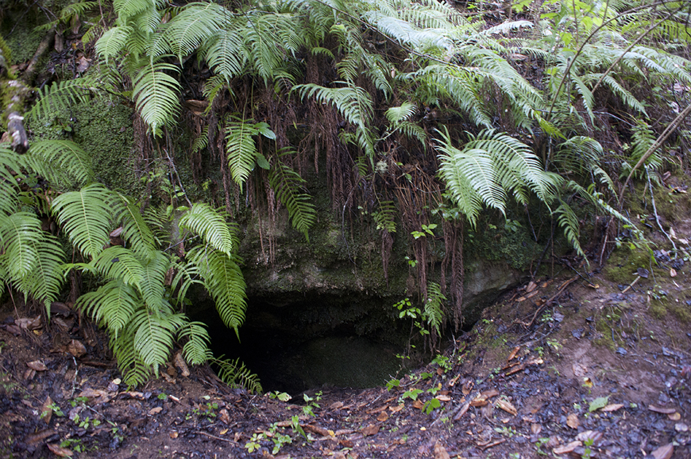 Entrance to Mississippi Bat Cave