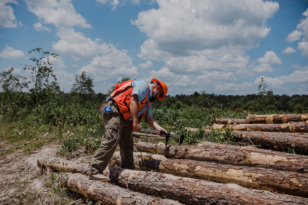 Scaling Pole Logs