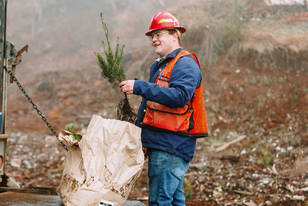 Forester looking at seedling roots