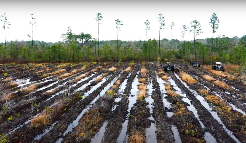 Bedding Site Prep for Tree Planting in the Southeast