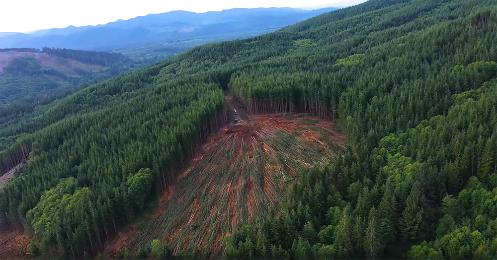 Aerial View of Winch Assisted Logging