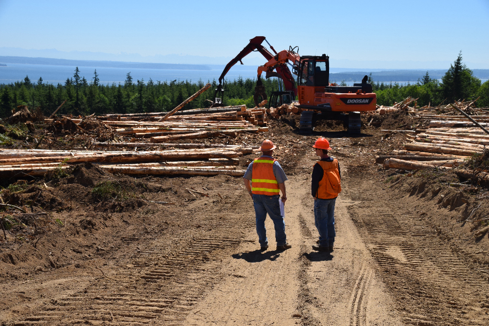 Empowering Forestry Employees