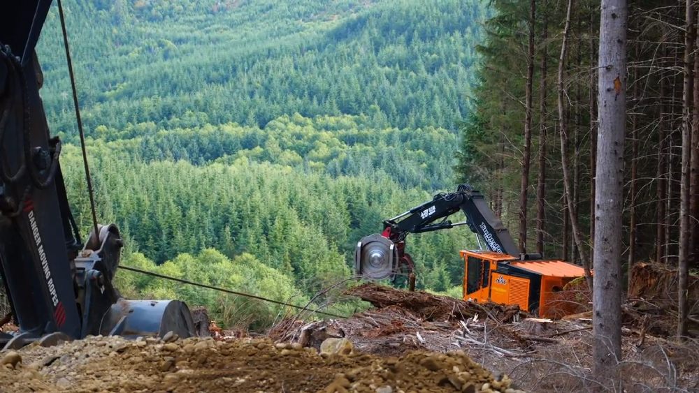 Winch Assist Machine and Feller buncher