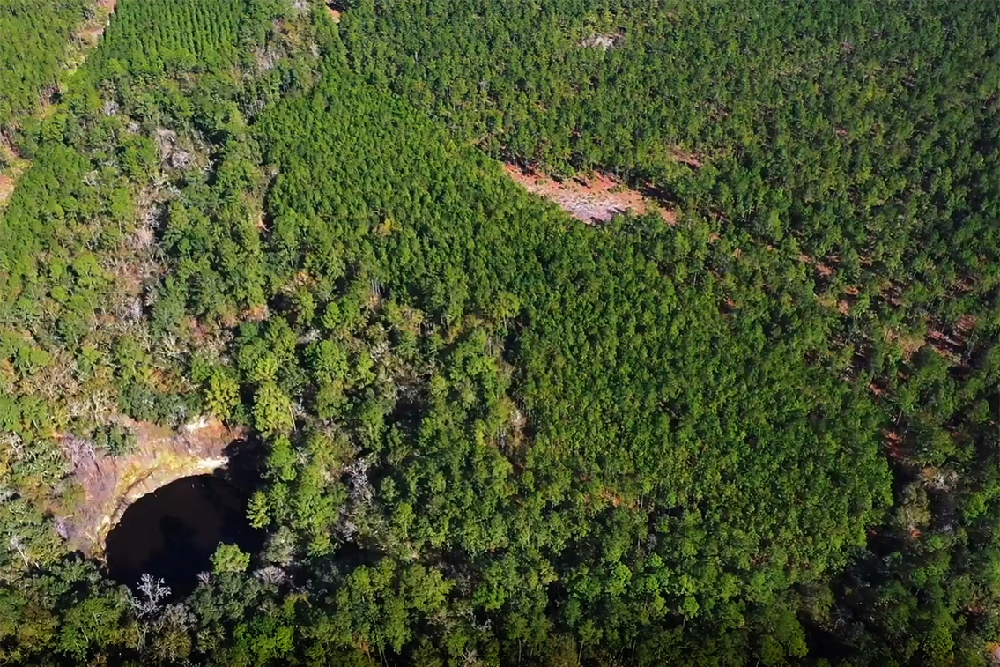 Brooks Sink Sinkhole Aerial View