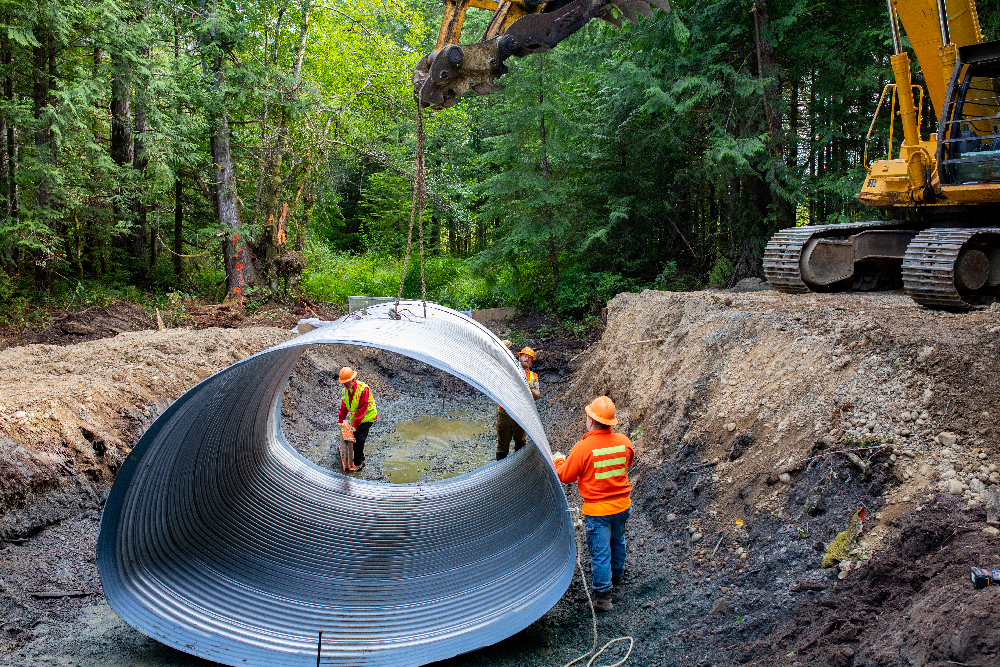 Replacing Undersized Culvert Forests & Fish
