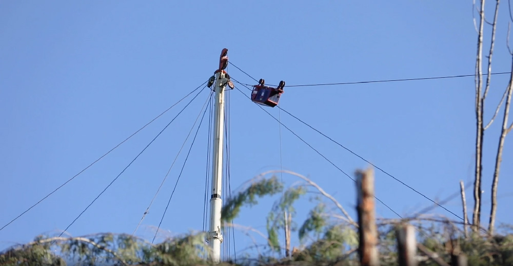 Guylines used in tower logging