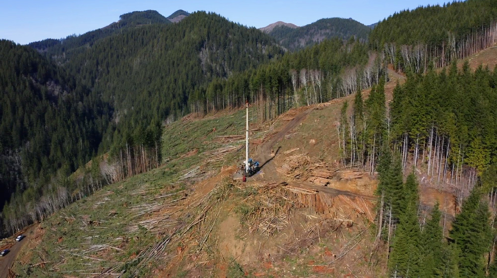 Tower logging aerial view