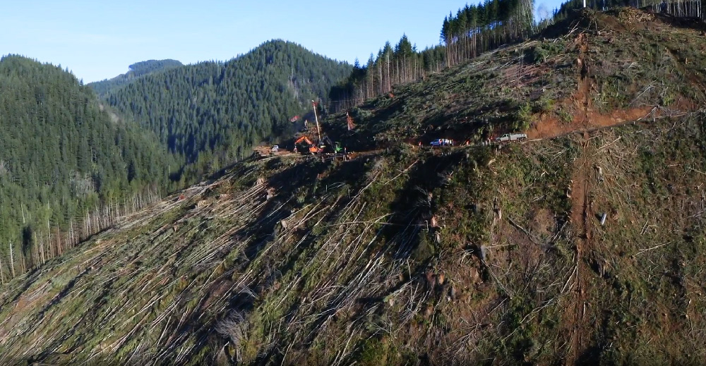 Tower and Yarding Area Tower Logging