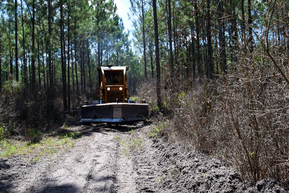 Plowing a Fire Break in the Forest