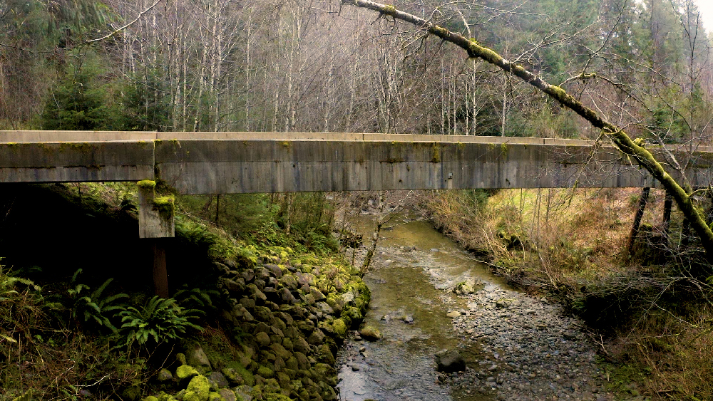 Quileute Nation and Rayonier RMAP Bridge Project