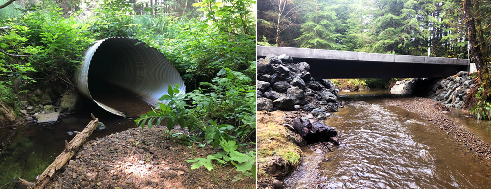 Before and After Forests & Fish Salmon Habitat Rehabilitation