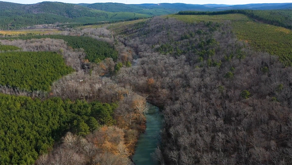 Forestry Water Quality Standards