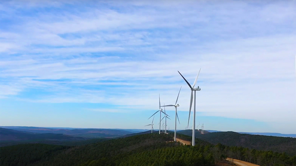 Rising Tree Wind Farm