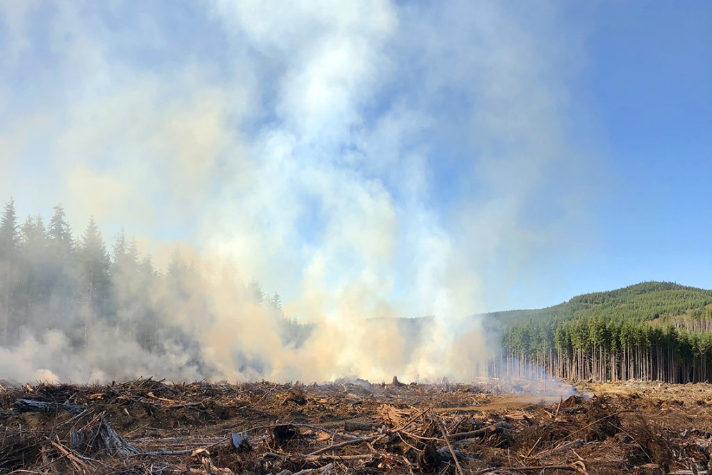 Foresters Use Broadcast Burn to Prevent Wildfire