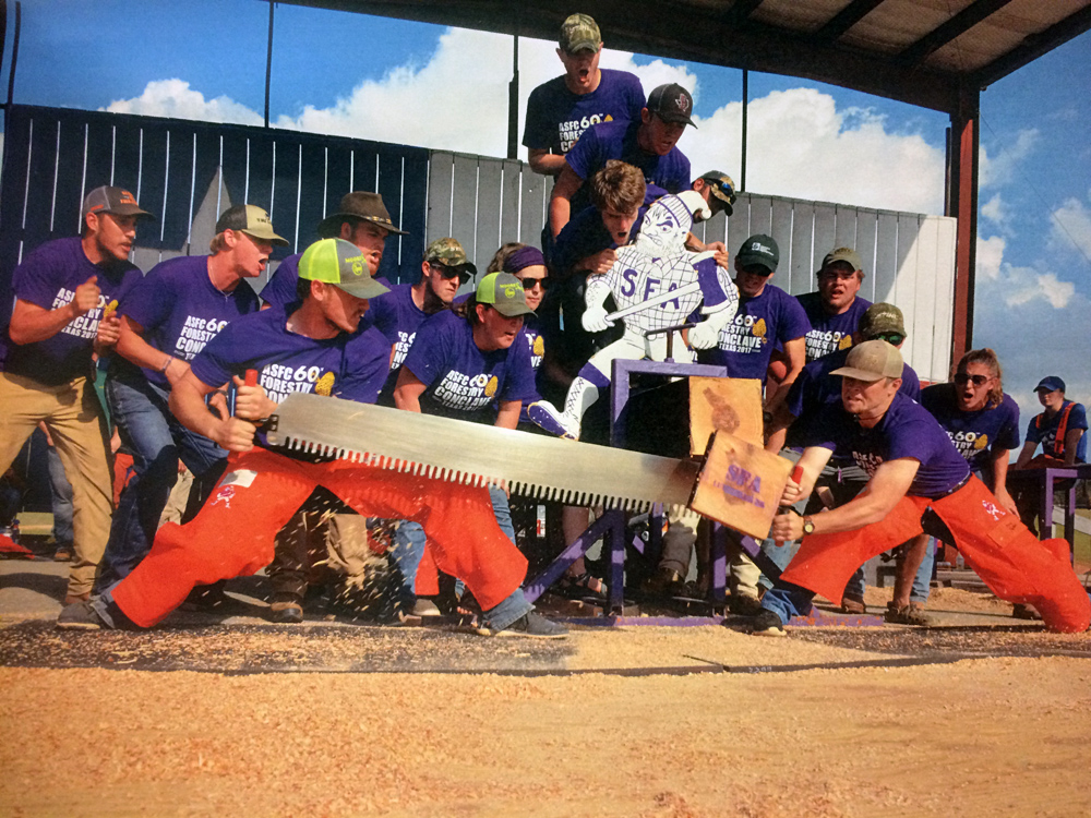 Crosscut saw competition forestry students