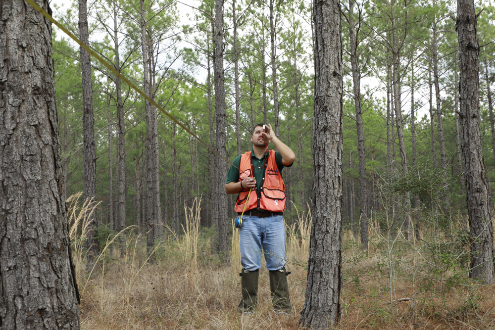 Clinometer timber cruise