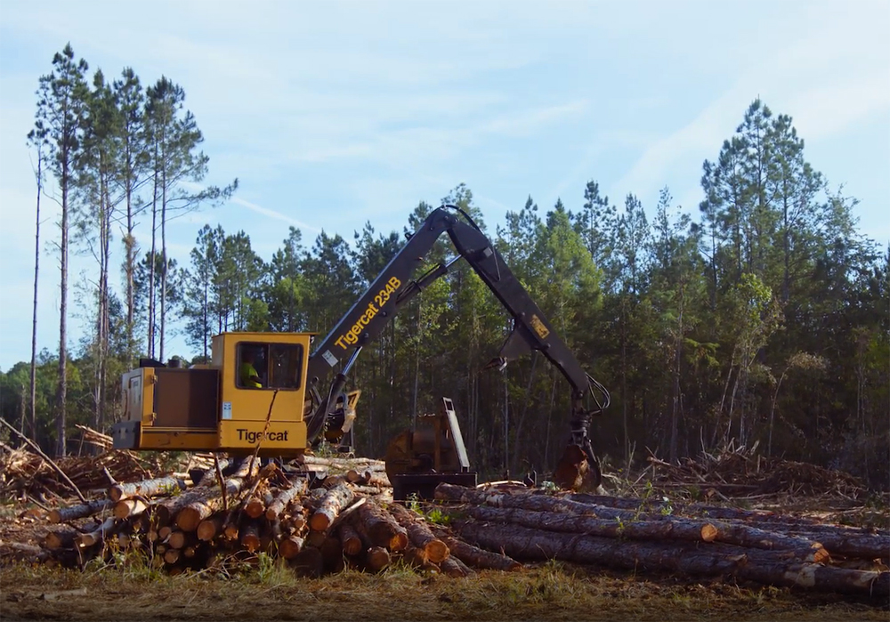 Timber harvest loader operator