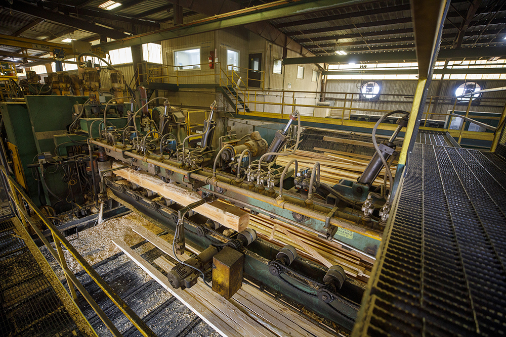 A squared log moves through the mill conveyor belt