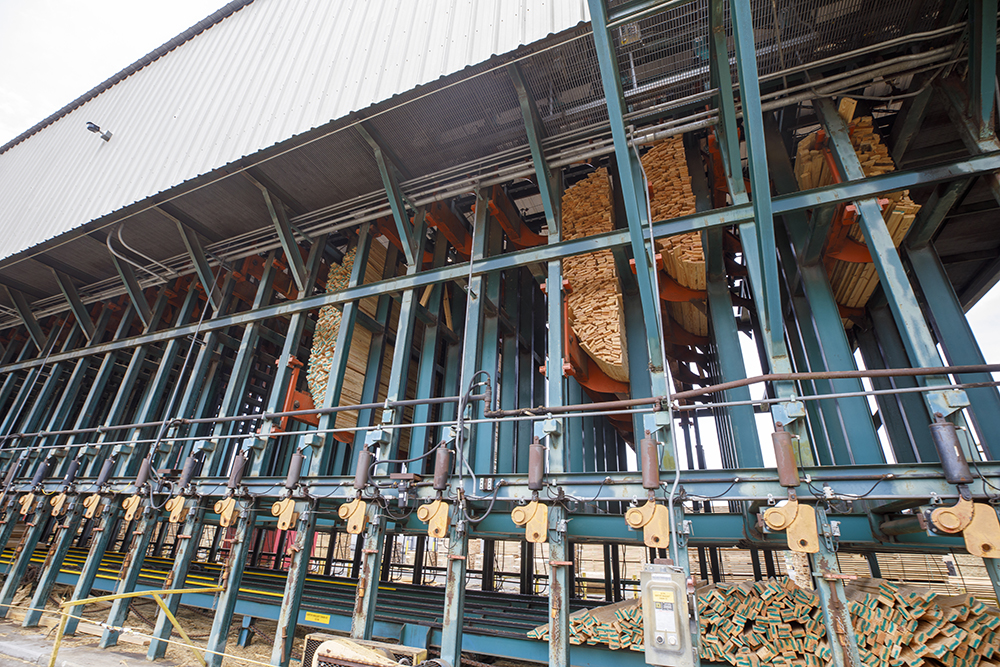 Groups of boards are held together in the sort up bay