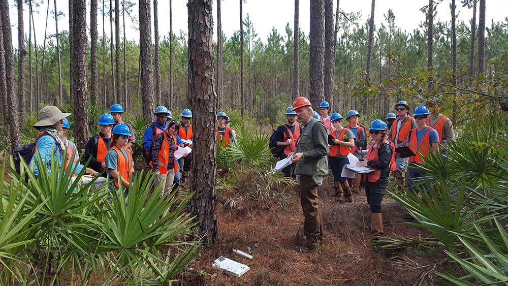 students in hard hats with teacher studying in a forest setting