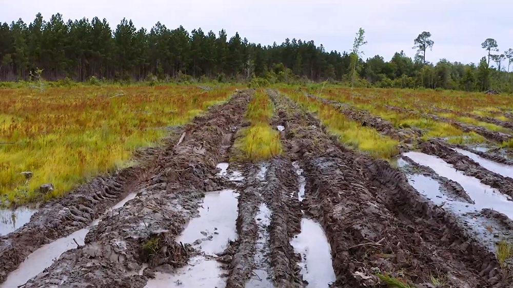 Bedded rows with water on lower ground between them