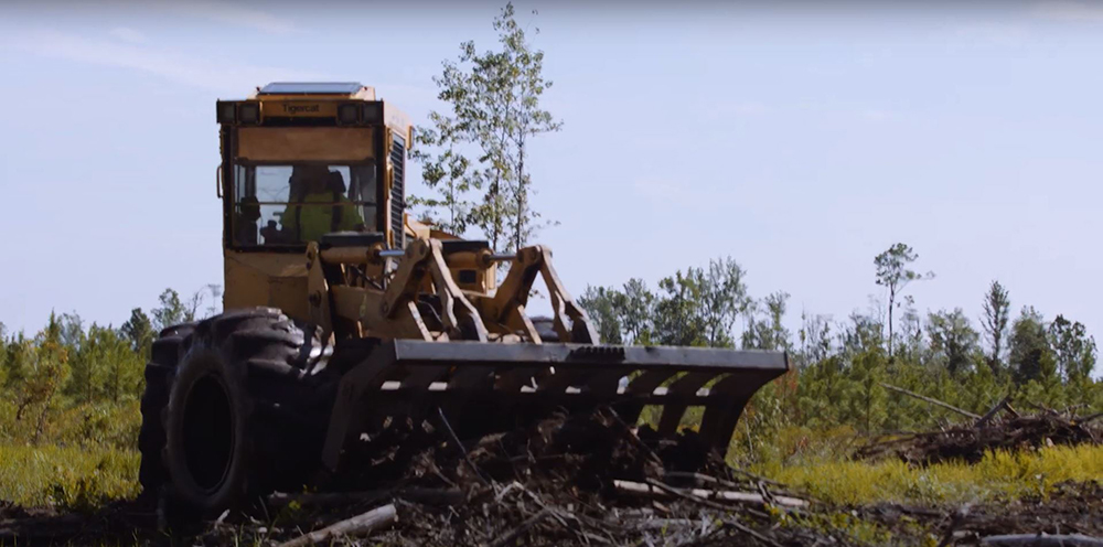 Root Rake Clearing Debris