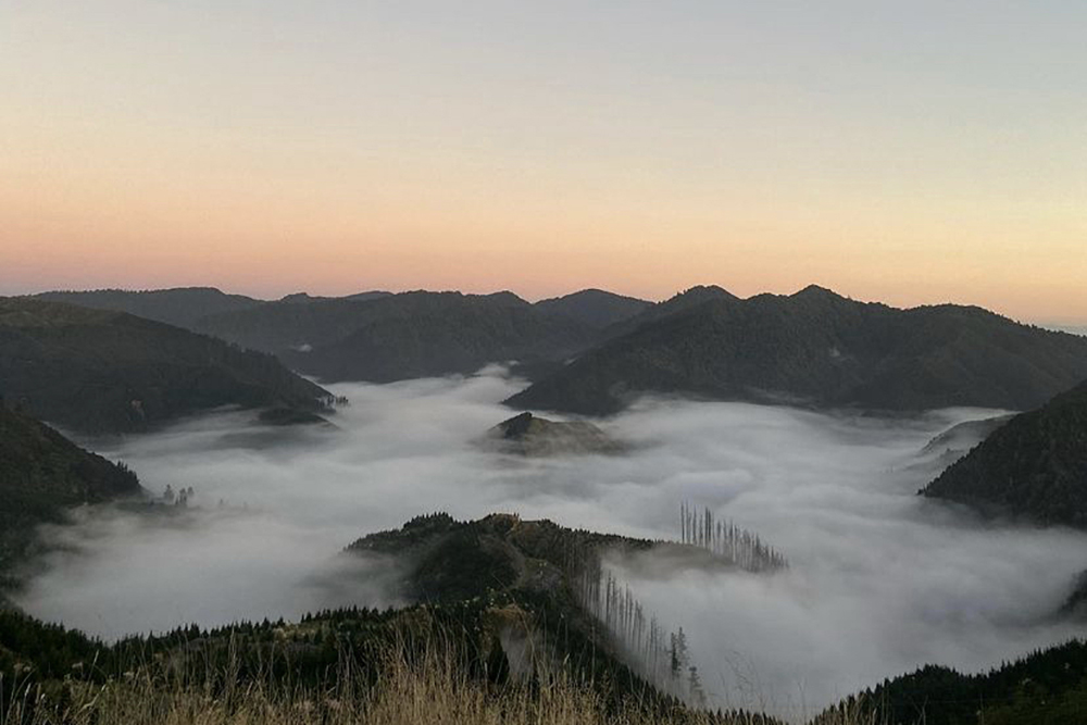 Mountainous forest with fog cover