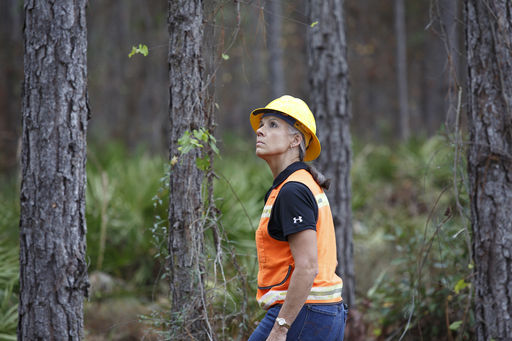 Terri examines trees in a forest