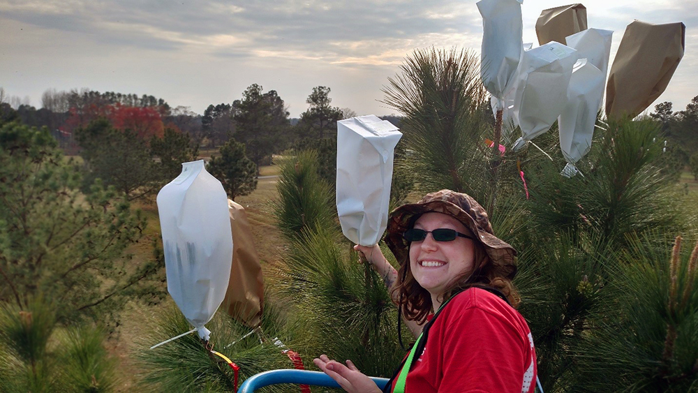 April Meeks standing in hydraulic lift with bags over tree branches