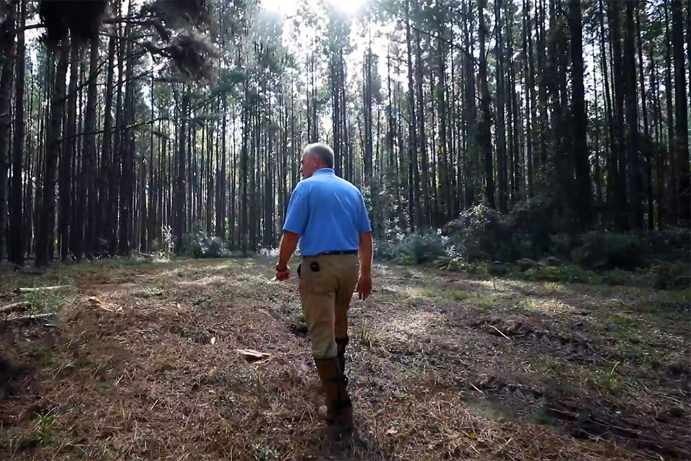 Kirk McEachern walking through forest