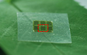 thin sheet of cellulose on a lead with transistors embedded in it