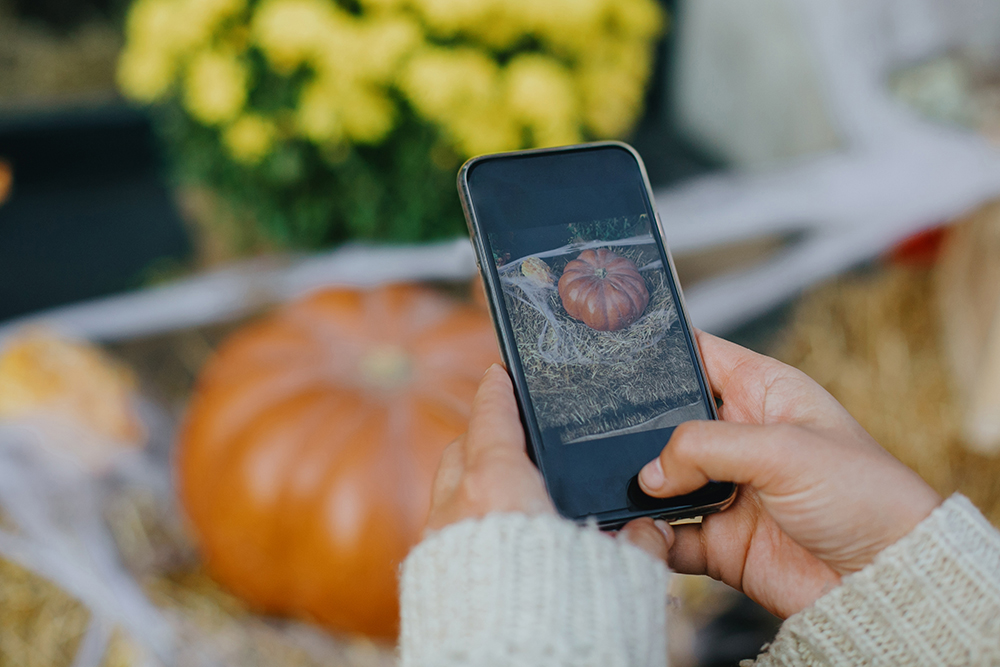 Phone screen being used to photograph pumpkin