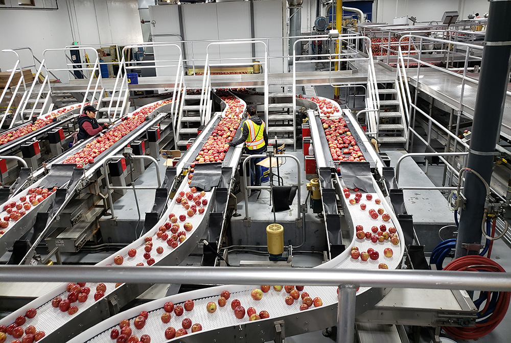 apple processing facility tour