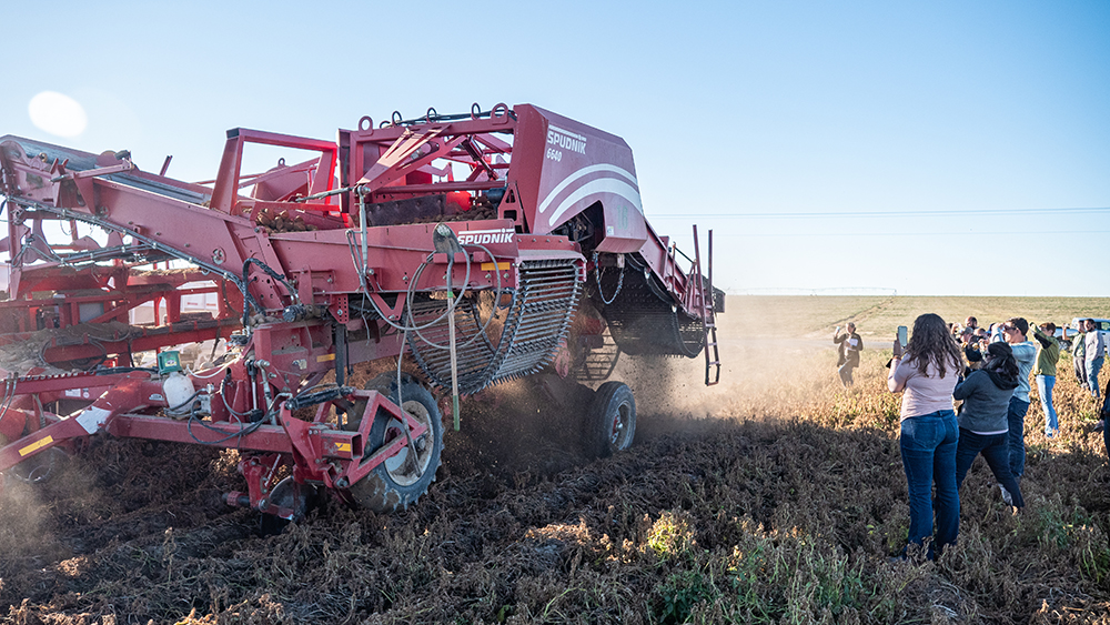 Potato Harvest Tour