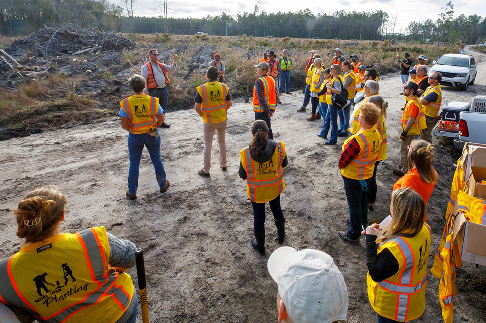 A group of employees stands around a forester at the planting site