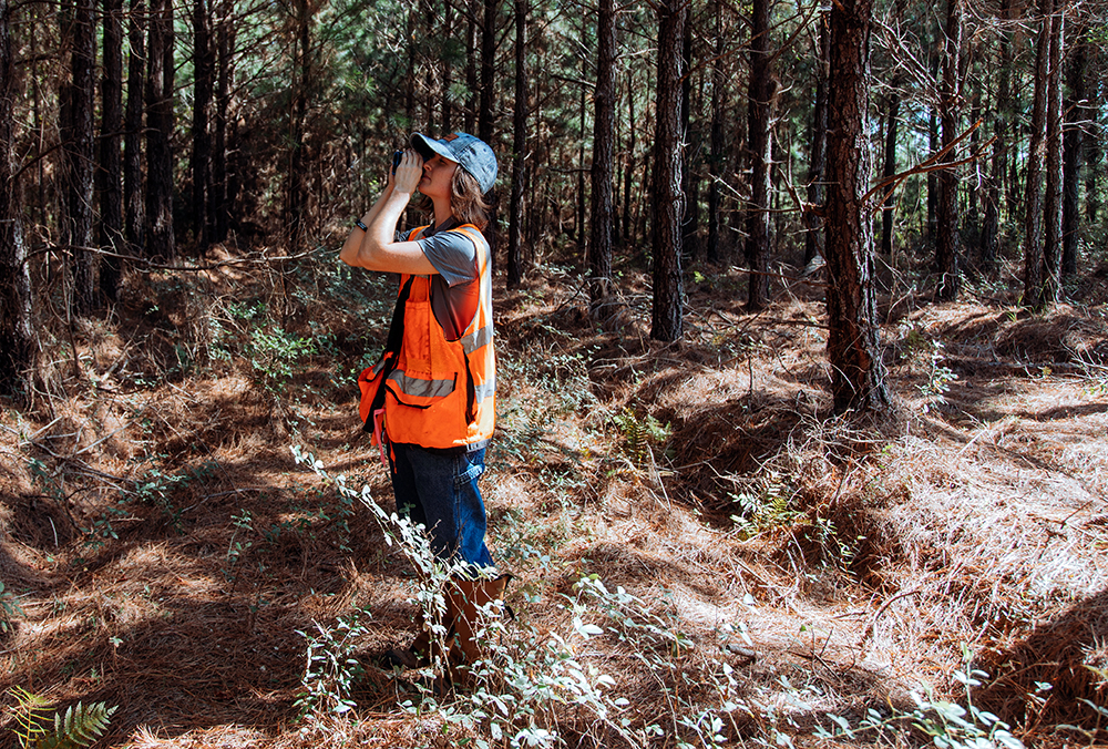 Female forester in orange vest looking through ocular lense in the forest