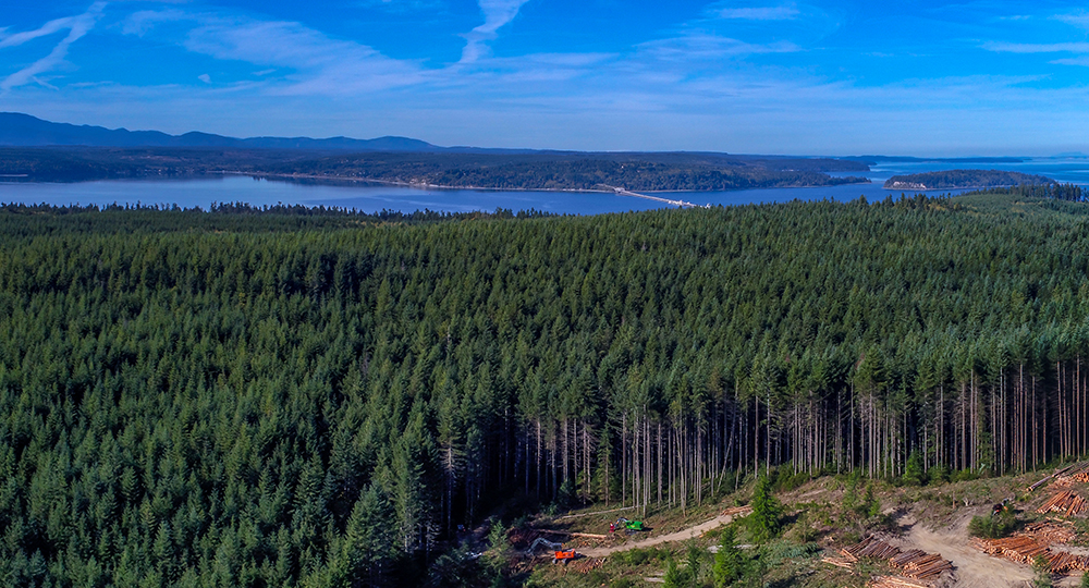 Sustainable Forest in Olympic Penninsula Area