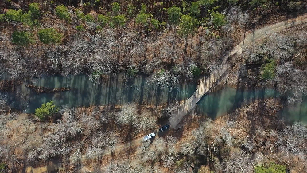 Aerial of a stream crossing in a Rayonier forest