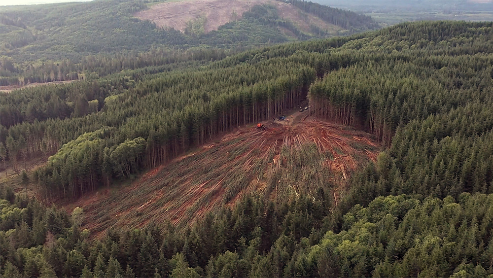 Aerial of a harvest on steep terrain using a winch assist machine