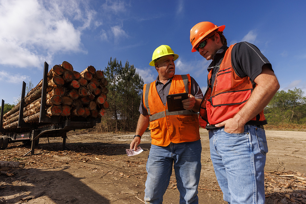 Two men in hard hats looking at a tablet in front of a loaded log truck