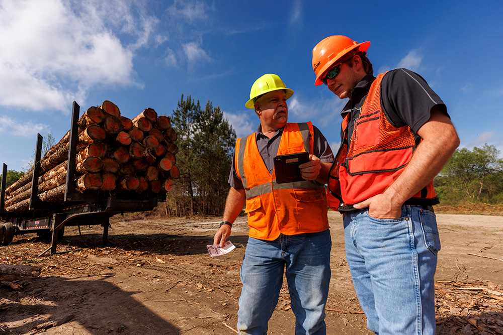 Two men working at a timber operation discussing strategy