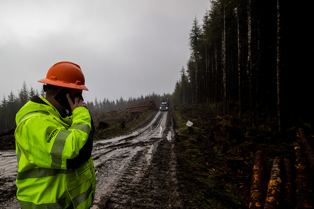 Man on the phone working in a forest at a harvest operation