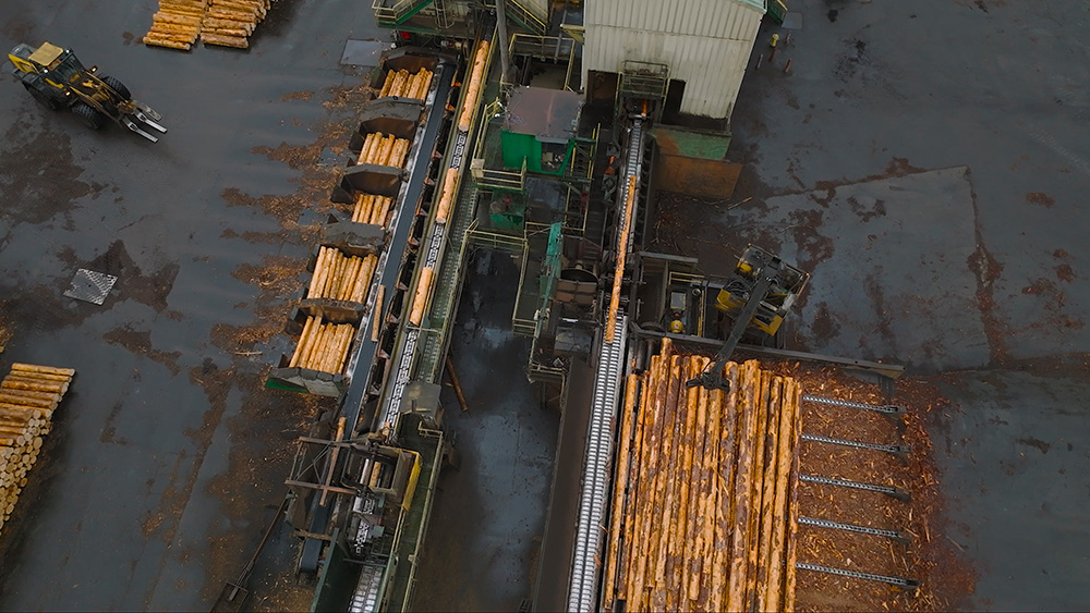 Logs being cut into block to be transformed into plywood