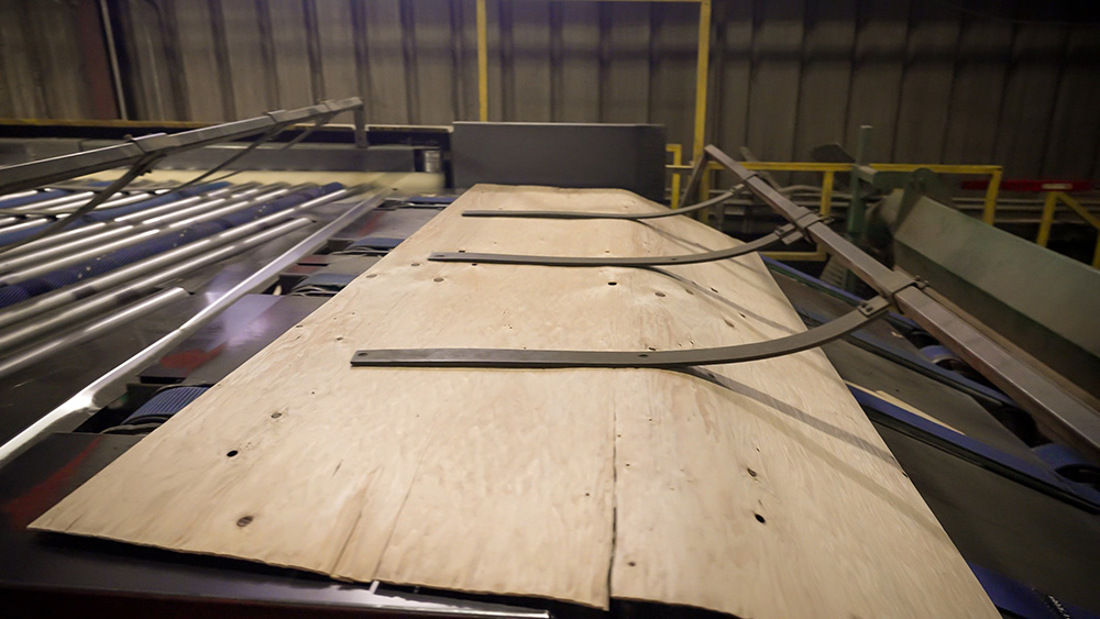 A sheet of veneer on a conveyor belt